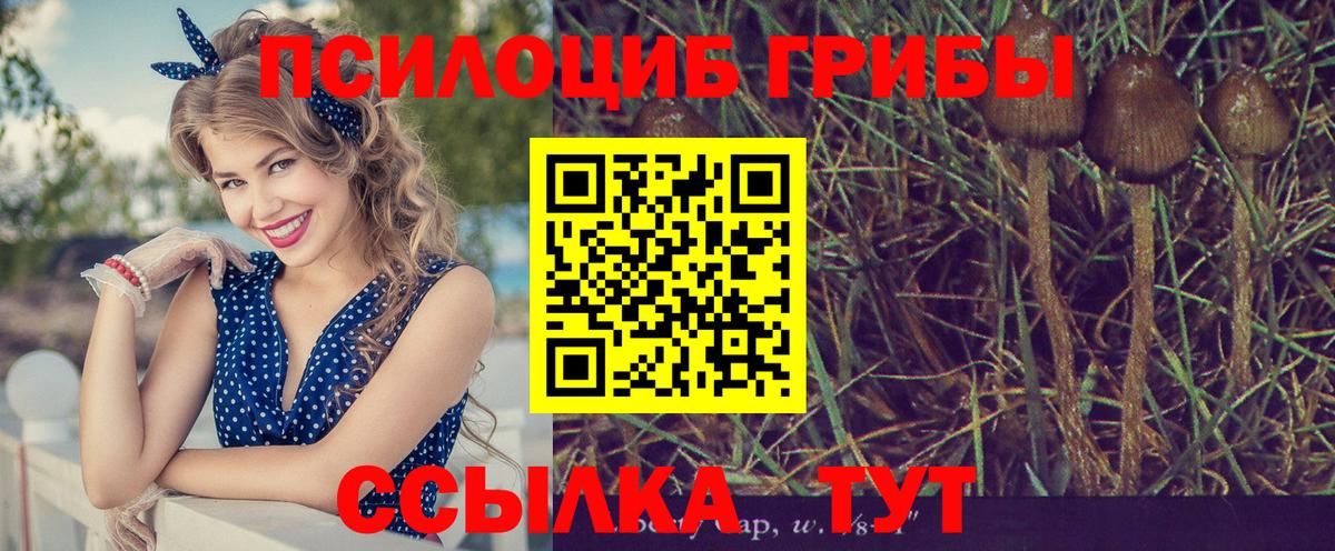 Галлюциногенные грибы прущие грибы Свободный