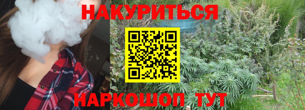 Шишки марихуана семена  Шишки марихуана LSD WEED  Вход с VPN  Свободный 